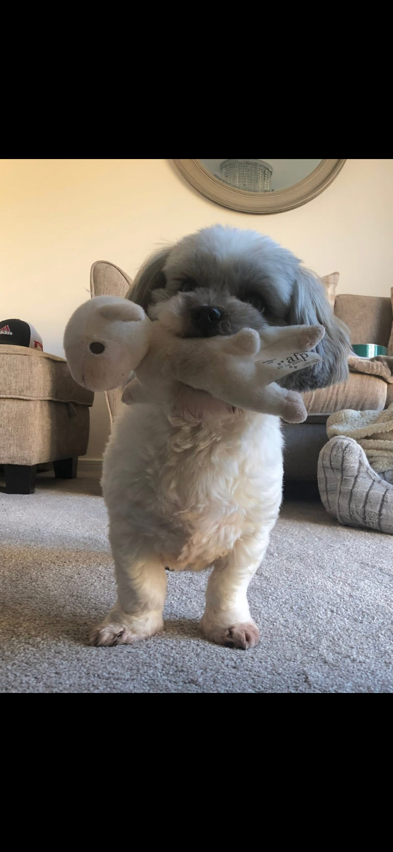 Chloe